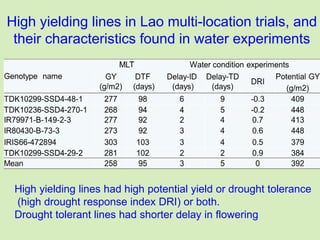 High yielding lines in Lao multi-location trials, and
their characteristics found in water experiments
High yielding lines...
