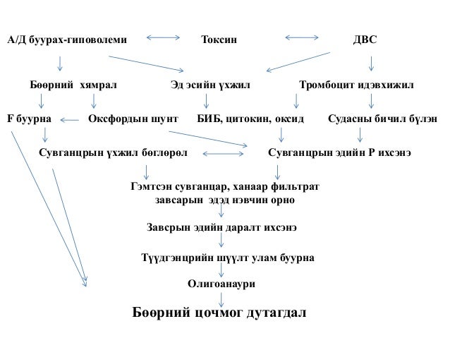 Boornii dutagdal yaraltai tuslamj