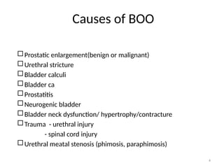 Comprehensive Seminar on Bladder Outlet Obstruction and Related ...
