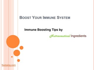 Boost Your Immune System Immune Boosting Tips by NutraceuticalIngredients Nutraing.com 
