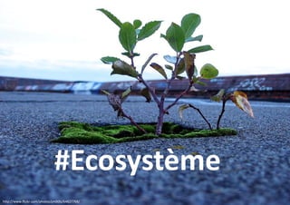 #Ecosystème
http://www.flickr.com/photos/ph0t0s/64827768/

 