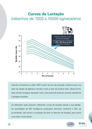 16
Curvas de Lactação
(rebanhos de 7000 a 10000 kg/vaca/ano)
0 1 2 3 4 5 6 7 8 9 10
Cada litro de leite a mais
no Pico de Lactação
corresponde a um incremento
de 200 a 250 litros de leite
na lactação completa
Mês da lactação
Kgleite⁄vaca⁄dia
15
20
25
30
35
40
45
50
Quando começamos a utilizar rBST a partir do pico de produção, evitamos que uma
série de células da glândula mamária morra e pare de produzir leite. Dessa forma,
esse animal consegue expressar mais o seu potencial produtivo quando analisamos
a lactação completa.
As diferentes raças possuem diferentes curvas de lactação devido a sua aptidão.
As quantidades de BST endógenos produzidos diminuem conforme o DEL vai
aumentando. Isto diminui a produção de leite no decorrer da lactação, pois ocorre
uma maior morte celular.
 