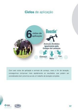 57
ciclos de
aplicação
Começo
Meio
Fim
6
Animais divididos
igualmente pelo
Estágio da Lactação
Com seis ciclos de aplicação e animais de começo, meio e fim de lactação,
conseguimos comprovar mais rapidamente os resultados, que podem ser
considerados bem próximos ao de um trabalho de lactação completa.
Ciclos de aplicação
 