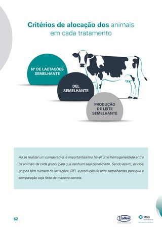 62
Critérios de alocação dos animais
em cada tratamento
Nº DE LACTAÇÕES
SEMELHANTE
DEL
SEMELHANTE
PRODUÇÃO
DE LEITE
SEMELHANTE
Ao se realizar um comparativo, é importantissímo haver uma homogeneidade entre
os animais de cada grupo, para que nenhum seja beneficiado. Sendo assim, os dois
grupos têm número de lactações, DEL e produção de leite semelhantes para que a
comparação seja feita de maneira correta.
 