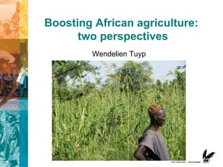 Boosting African agriculture:
two perspectives
Wendelien Tuyp
 