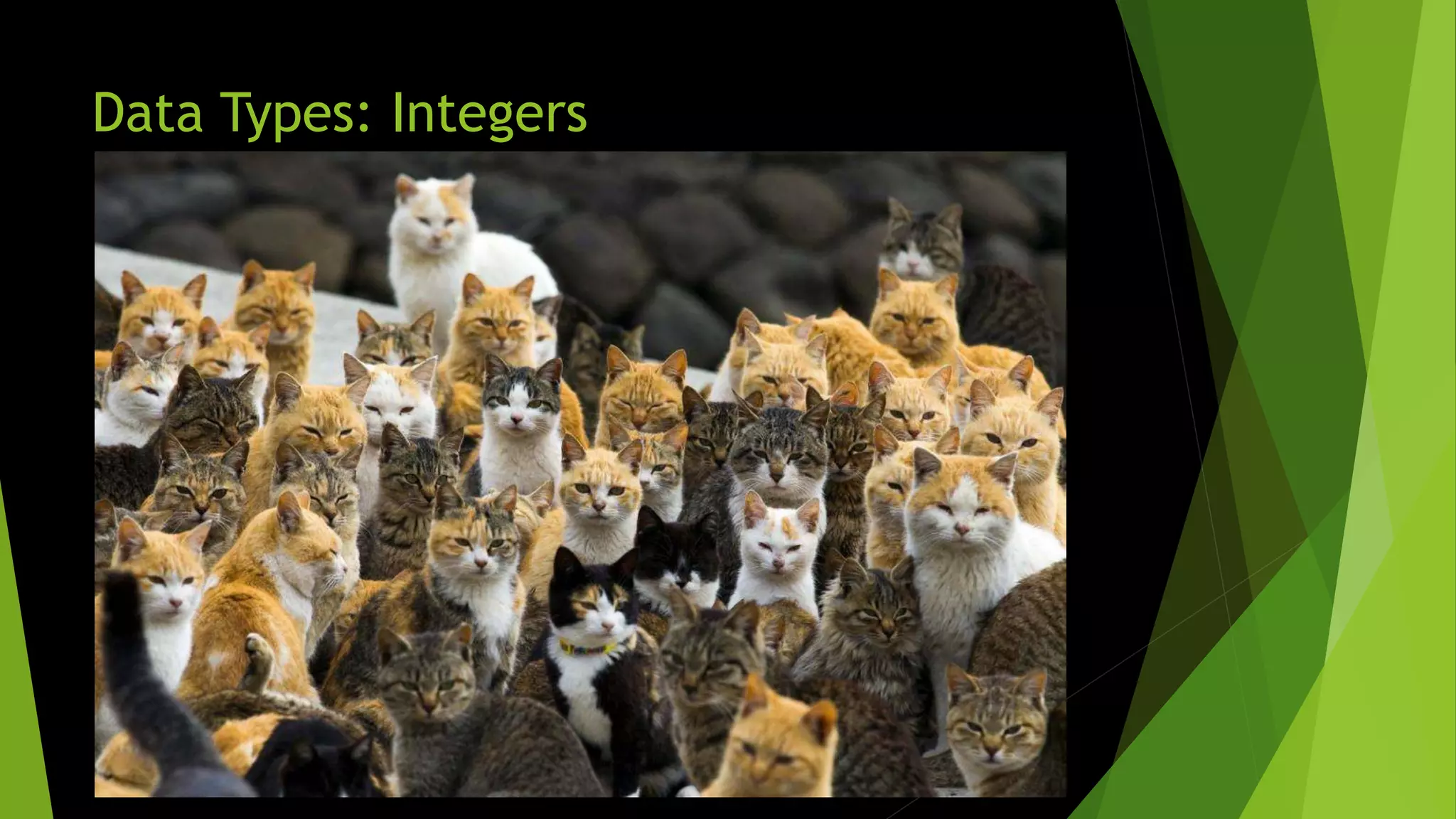 Data Types: Integers 