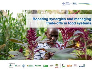Boosting synergies and managing
trade-offs in food systems
 