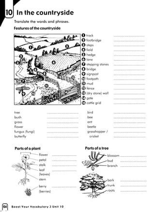 Boost your vocabulary 3