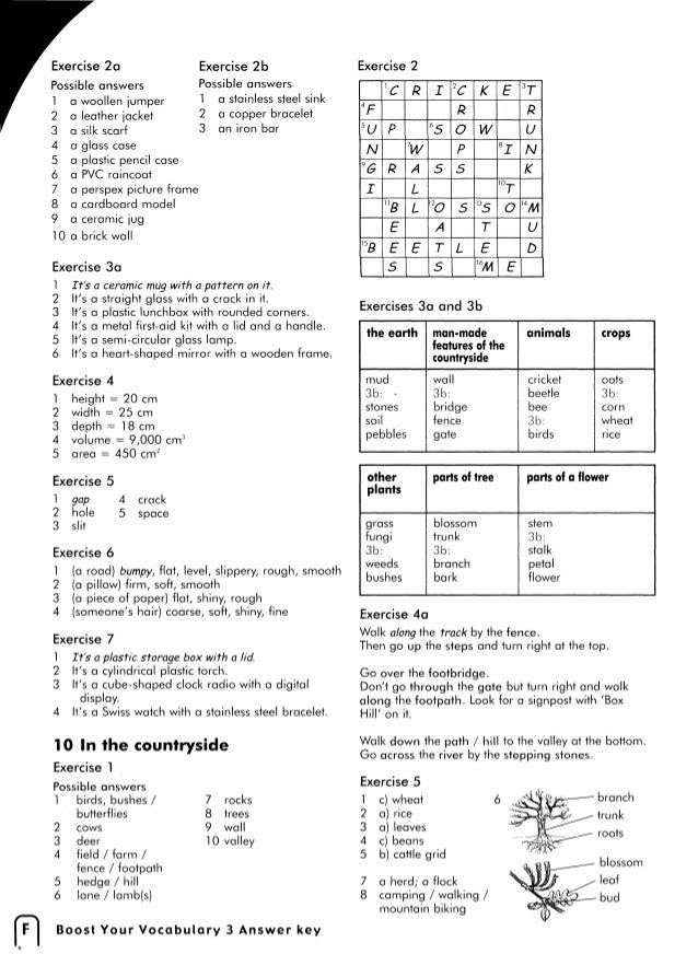 Boost Your Vocabulary 3 Boost Your Vocabulary 3