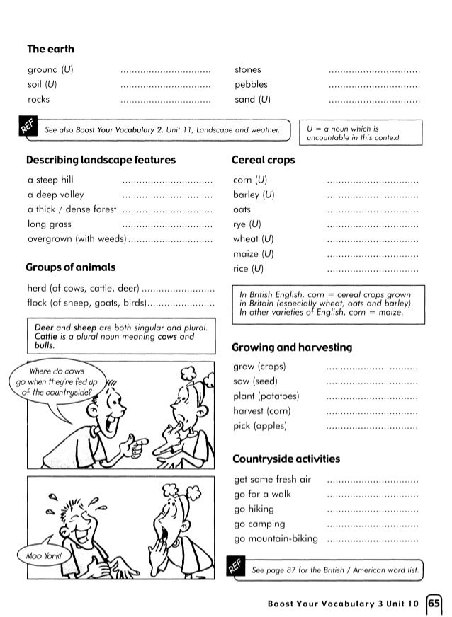 Boost Your Vocabulary 3