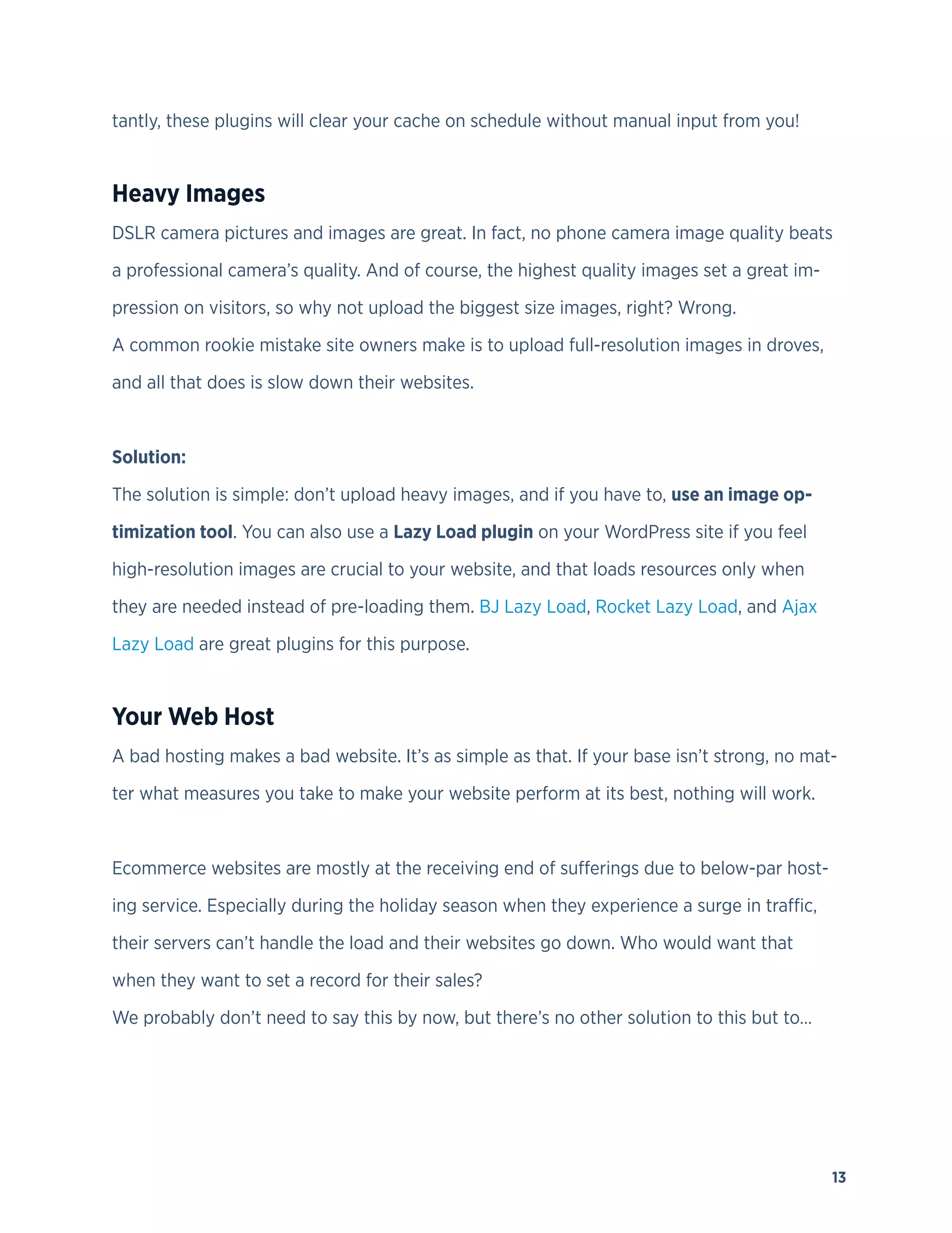 13
tantly, these plugins will clear your cache on schedule without manual input from you!
Heavy Images
DSLR camera pictures and images are great. In fact, no phone camera image quality beats
a professional camera’s quality. And of course, the highest quality images set a great im-
pression on visitors, so why not upload the biggest size images, right? Wrong.
A common rookie mistake site owners make is to upload full-resolution images in droves,
and all that does is slow down their websites.
Solution:
The solution is simple: don’t upload heavy images, and if you have to, use an image op-
timization tool. You can also use a Lazy Load plugin on your WordPress site if you feel
high-resolution images are crucial to your website, and that loads resources only when
they are needed instead of pre-loading them. BJ Lazy Load, Rocket Lazy Load, and Ajax
Lazy Load are great plugins for this purpose.
Your Web Host
A bad hosting makes a bad website. It’s as simple as that. If your base isn’t strong, no mat-
ter what measures you take to make your website perform at its best, nothing will work.
Ecommerce websites are mostly at the receiving end of sufferings due to below-par host-
ing service. Especially during the holiday season when they experience a surge in traffic,
their servers can’t handle the load and their websites go down. Who would want that
when they want to set a record for their sales?
We probably don’t need to say this by now, but there’s no other solution to this but to…
 