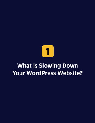 6
What is Slowing Down
Your WordPress Website?
1
 