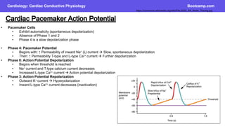 Bootcamp.com Cardiology.pdf