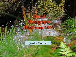Digital
 Photography
Bootcamp 2009


  Jessica Morrish
 