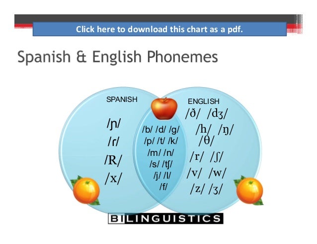 Difference Vs Disorder Speech Development In Culturally And Lingui