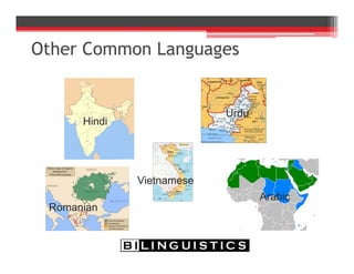 Other Common Languages
Vietnamese
Romanian
Hindi
Urdu
Arabic
 