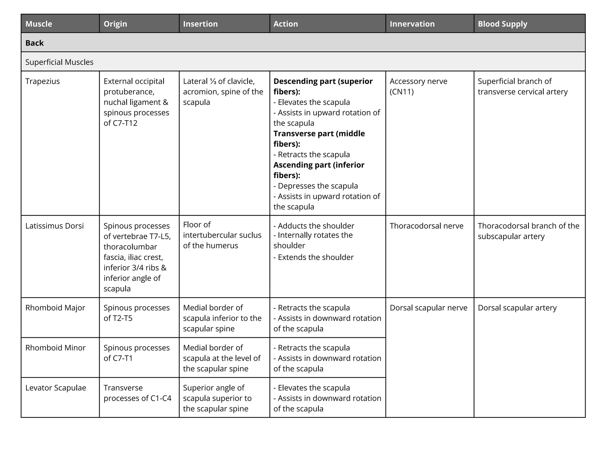 Muscle Origin Insertion Action Innervation Blood Supply
Back
Superﬁcial Muscles
Trapezius External occipital
protuberance,
nuchal ligament &
spinous processes
of C7-T12
Lateral ⅓ of clavicle,
acromion, spine of the
scapula
Descending part (superior
ﬁbers):
- Elevates the scapula
- Assists in upward rotation of
the scapula
Transverse part (middle
ﬁbers):
- Retracts the scapula
Ascending part (inferior
ﬁbers):
- Depresses the scapula
- Assists in upward rotation of
the scapula
Accessory nerve
(CN11)
Superﬁcial branch of
transverse cervical artery
Latissimus Dorsi Spinous processes
of vertebrae T7-L5,
thoracolumbar
fascia, iliac crest,
inferior 3/4 ribs &
inferior angle of
scapula
Floor of
intertubercular suclus
of the humerus
- Adducts the shoulder
- nternally rotates the
shoulder
- Extends the shoulder
Thoracodorsal nerve Thoracodorsal branch of the
subscapular artery
Rhomboid Major Spinous processes
of T2-T5
Medial border of
scapula inferior to the
scapular spine
- Retracts the scapula
- Assists in downward rotation
of the scapula
Dorsal scapular nerve Dorsal scapular artery
Rhomboid Minor Spinous processes
of C7-T1
Medial border of
scapula at the level of
the scapular spine
- Retracts the scapula
- Assists in downward rotation
of the scapula
Levator Scapulae Transverse
processes of C1-C4
Superior angle of
scapula superior to
the scapular spine
- Elevates the scapula
- Assists in downward rotation
of the scapula
 
