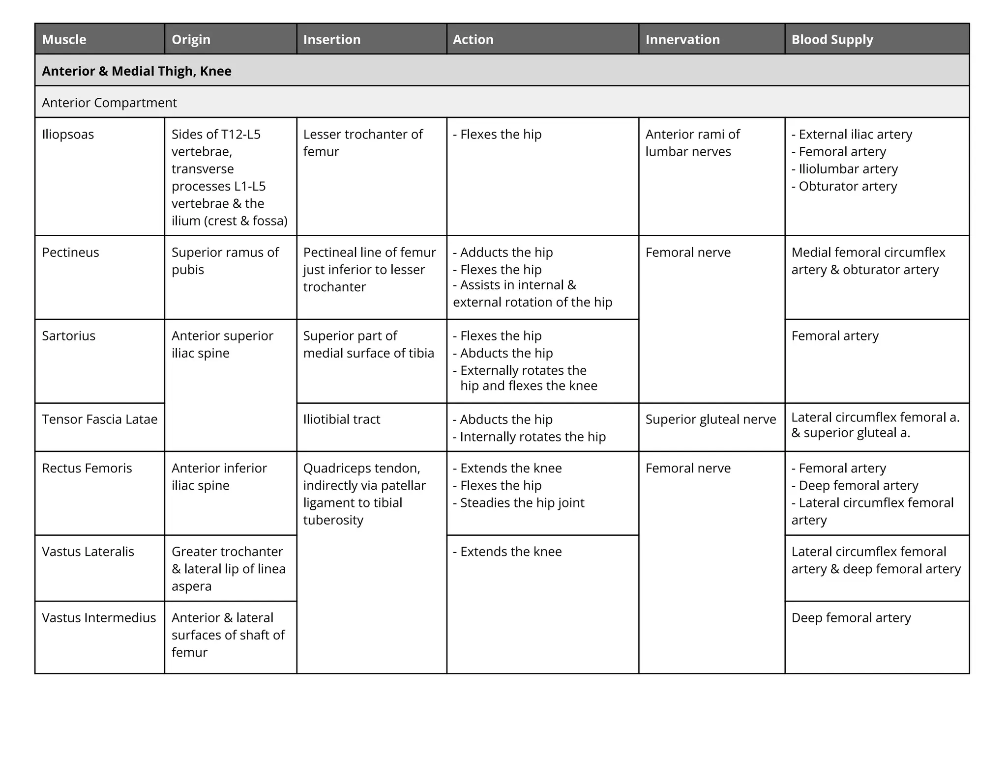 Muscle Origin Insertion Action Innervation Blood Supply
Anterior & Medial Thigh, Knee
Anterior Compartment
Iliopsoas Sides of T12-L5
vertebrae,
transverse
processes L1-L5
vertebrae & the
ilium (crest & fossa)
Lesser trochanter of
femur
- Flexes the hip Anterior rami of
lumbar nerves
- External iliac artery
- Femoral artery
- Iliolumbar artery
- Obturator artery
Pectineus Superior ramus of
pubis
Pectineal line of femur
just inferior to lesser
trochanter
- Adducts the hip
- Flexes the hip
- Assists in internal &
e ternal rotation of the hip
Femoral nerve Medial femoral circumﬂex
artery & obturator artery
Sartorius Anterior superior
iliac spine
Superior part of
medial surface of tibia
- Flexes the hip
- Abducts the hip
- ternally rotates the
hip an lexes the knee
Femoral artery
Tensor Fascia Latae Iliotibial tract - Abducts the hip
- nternally rotates the hip
Superior gluteal nerve Lateral circumﬂex femoral a.
& superior gluteal a.
Rectus Femoris Anterior inferior
iliac spine
Quadriceps tendon,
indirectly via patellar
ligament to tibial
tuberosity
- Extends the knee
- Flexes the hip
- Steadies the hip joint
Femoral nerve - Femoral artery
- Deep femoral artery
- Lateral circumﬂex femoral
artery
Vastus Lateralis Greater trochanter
& lateral lip of linea
aspera
- Extends the knee Lateral circumﬂex femoral
artery & deep femoral artery
Vastus Intermedius Anterior & lateral
surfaces of shaft of
femur
Deep femoral artery
 