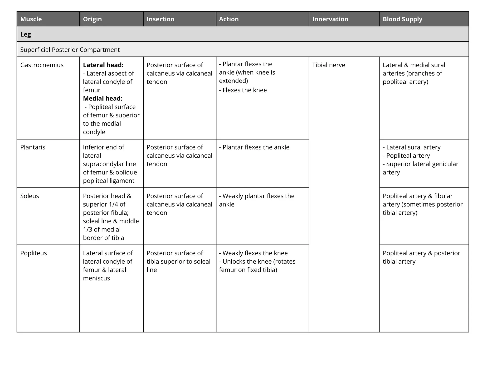 Muscle Origin Insertion Action Innervation Blood Supply
Leg
Superﬁcial Posterior Compartment
Gastrocnemius Lateral head:
- Lateral aspect of
lateral condyle of
femur
Medial head:
- Popliteal surface
of femur & superior
to the medial
condyle
Posterior surface of
calcaneus via calcaneal
tendon
- Plantar ﬂexes the
ankle (when knee is
extended)
- Flexes the knee
Tibial nerve Lateral & medial sural
arteries (branches of
popliteal artery)
Plantaris Inferior end of
lateral
supracondylar line
of femur & oblique
popliteal ligament
Posterior surface of
calcaneus via calcaneal
tendon
- Plantar ﬂexes the ankle - Lateral sural artery
- Popliteal artery
- Superior lateral genicular
artery
Soleus Posterior head &
superior 1/4 of
posterior ﬁbula;
soleal line & middle
1/3 of medial
border of tibia
Posterior surface of
calcaneus via calcaneal
tendon
- Weakly plantar ﬂexes the
ankle
Popliteal artery & ﬁbular
artery (sometimes posterior
tibial artery)
Popliteus Lateral surface of
lateral condyle of
femur & lateral
meniscus
Posterior surface of
tibia superior to soleal
line
- Weakly ﬂexes the knee
- Unlocks the knee (rotates
femur on ﬁxed tibia)
Popliteal artery & posterior
tibial artery
 