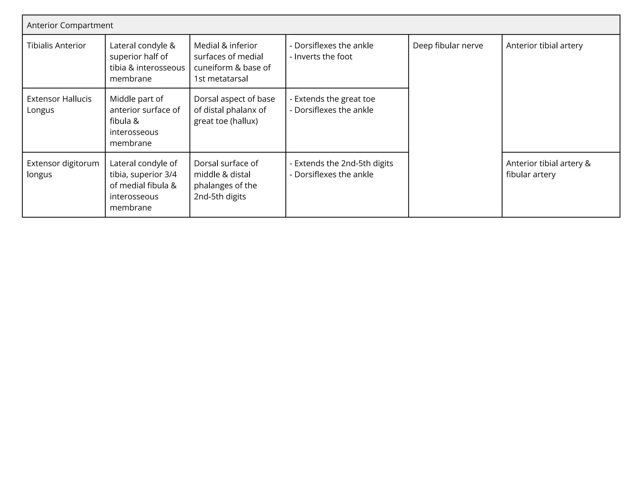 Anterior Compartment
Tibialis Anterior Lateral condyle &
superior half of
tibia & interosseous
membrane
Medial & inferior
surfaces of medial
cuneiform & base of
1st metatarsal
- Dorsiﬂexes the ankle
- Inverts the foot
Deep ﬁbular nerve Anterior tibial artery
Extensor Hallucis
Longus
Middle part of
anterior surface of
ﬁbula &
interosseous
membrane
Dorsal aspect of base
of distal phalanx of
great toe (hallux)
- Extends the great toe
- Dorsiﬂexes the ankle
Extensor digitorum
longus
Lateral condyle of
tibia, superior 3/4
of medial ﬁbula &
interosseous
membrane
Dorsal surface of
middle & distal
phalanges of the
2nd-5th digits
- Extends the 2nd-5th digits
- Dorsiﬂexes the ankle
Anterior tibial artery &
ﬁbular artery
 