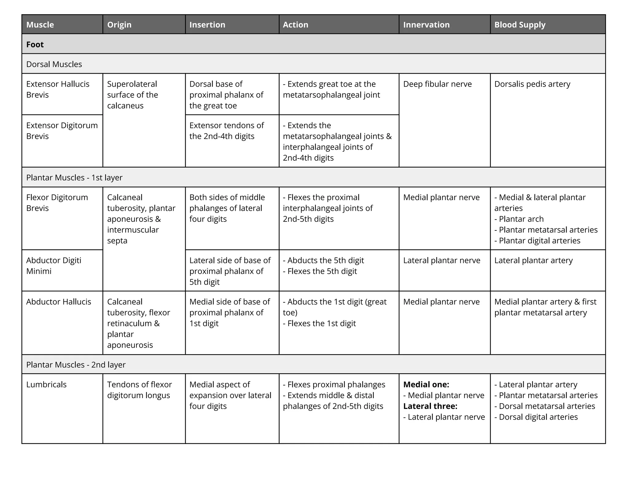 Muscle Origin Insertion Action Innervation Blood Supply
Foot
Dorsal Muscles
Extensor Hallucis
Brevis
Superolateral
surface of the
calcaneus
Dorsal base of
proximal phalanx of
the great toe
- Extends great toe at the
metatarsophalangeal joint
Deep ﬁbular nerve Dorsalis pedis artery
Extensor Digitorum
Brevis
Extensor tendons of
the 2nd-4th digits
- Extends the
metatarsophalangeal joints &
interphalangeal joints of
2nd-4th digits
Plantar Muscles - 1st layer
Flexor Digitorum
Brevis
Calcaneal
tuberosity, plantar
aponeurosis &
intermuscular
septa
Both sides of middle
phalanges of lateral
four digits
- Flexes the proximal
interphalangeal joints of
2nd-5th digits
Medial plantar nerve - Medial & lateral plantar
arteries
- Plantar arch
- Plantar metatarsal arteries
- Plantar digital arteries
Abductor Digiti
Minimi
Lateral side of base of
proximal phalanx of
5th digit
- Abducts the 5th digit
- Flexes the 5th digit
Lateral plantar nerve Lateral plantar artery
Abductor Hallucis Calcaneal
tuberosity, ﬂexor
retinaculum &
plantar
aponeurosis
Medial side of base of
proximal phalanx of
1st digit
- Abducts the 1st digit (great
toe)
- Flexes the 1st digit
Medial plantar nerve Medial plantar artery & ﬁrst
plantar metatarsal artery
Plantar Muscles - 2nd layer
Lumbricals Tendons of ﬂexor
digitorum longus
Medial aspect of
expansion over lateral
four digits
- Flexes proximal phalanges
- Extends middle & distal
phalanges of 2nd-5th digits
Medial one:
- Medial plantar nerve
Lateral three:
- Lateral plantar nerve
- Lateral plantar artery
- Plantar metatarsal arteries
- Dorsal metatarsal arteries
- Dorsal digital arteries
 