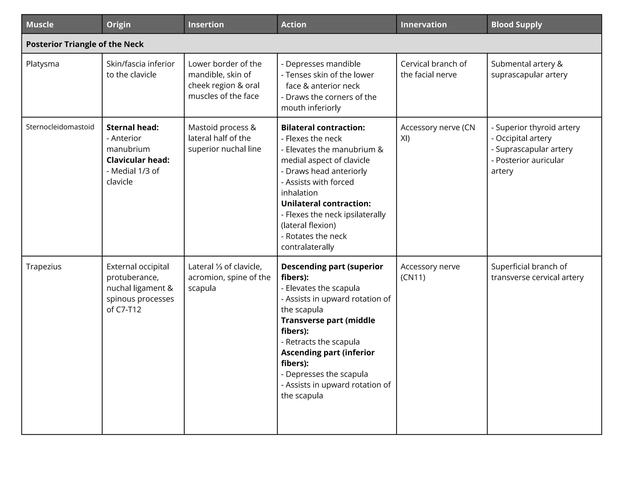 Muscle Origin Insertion Action Innervation Blood Supply
Posterior Triangle of the Neck
Platysma Skin/fascia inferior
to the clavicle
Lower border of the
mandible, skin of
cheek region & oral
muscles of the face
- Depresses mandible
- Tenses skin of the lower
face & anterior neck
- Draws the corners of the
mouth inferiorly
Cervical branch of
the facial nerve
Submental artery &
suprascapular artery
Sternocleidomastoid Sternal head:
- Anterior
manubrium
Clavicular head:
- Medial 1/3 of
clavicle
Mastoid process &
lateral half of the
superior nuchal line
Bilateral contraction:
- Flexes the neck
- Elevates the manubrium &
medial aspect of clavicle
- Draws head anteriorly
- Assists with forced
inhalation
Unilateral contraction:
- Flexes the neck ipsilaterally
(lateral ﬂexion)
- Rotates the neck
contralaterally
Accessory nerve (CN
XI)
- Superior thyroid artery
- Occipital artery
- Suprascapular artery
- Posterior auricular
artery
Trapezius External occipital
protuberance,
nuchal ligament &
spinous processes
of C7-T12
Lateral ⅓ of clavicle,
acromion, spine of the
scapula
Descending part (superior
ﬁbers):
- Elevates the scapula
- Assists in upward rotation of
the scapula
Transverse part (middle
ﬁbers):
- Retracts the scapula
Ascending part (inferior
ﬁbers):
- Depresses the scapula
- Assists in upward rotation of
the scapula
Accessory nerve
(CN11)
Superﬁcial branch of
transverse cervical artery
 