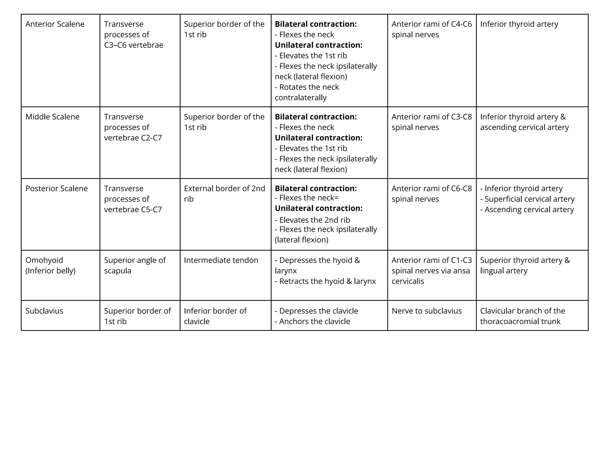 Anterior Scalene Transverse
processes of
C3–C6 vertebrae
Superior border of the
1st rib
Bilateral contraction:
- Flexes the neck
Unilateral contraction:
- Elevates the 1st rib
- Flexes the neck ipsilaterally
neck (lateral ﬂexion)
- Rotates the neck
contralaterally
Anterior rami of C4-C6
spinal nerves
Inferior thyroid artery
Middle Scalene Transverse
processes of
vertebrae C2-C7
Superior border of the
1st rib
Bilateral contraction:
- Flexes the neck
Unilateral contraction:
- Elevates the 1st rib
- Flexes the neck ipsilaterally
neck (lateral ﬂexion)
Anterior rami of C3-C8
spinal nerves
Inferior thyroid artery &
ascending cervical artery
Posterior Scalene Transverse
processes of
vertebrae C5-C7
External border of 2nd
rib
Bilateral contraction:
- Flexes the neck=
Unilateral contraction:
- Elevates the 2nd rib
- Flexes the neck ipsilaterally
(lateral ﬂexion)
Anterior rami of C6-C8
spinal nerves
- Inferior thyroid artery
- Superﬁcial cervical artery
- Ascending cervical artery
Omohyoid
(Inferior belly)
Superior angle of
scapula
Intermediate tendon - Depresses the hyoid &
larynx
- Retracts the hyoid & larynx
Anterior rami of C1-C3
spinal nerves via ansa
cervicalis
Superior thyroid artery &
lingual artery
Subclavius Superior border of
1st rib
Inferior border of
clavicle
- Depresses the clavicle
- Anchors the clavicle
Nerve to subclavius Clavicular branch of the
thoracoacromial trunk
 