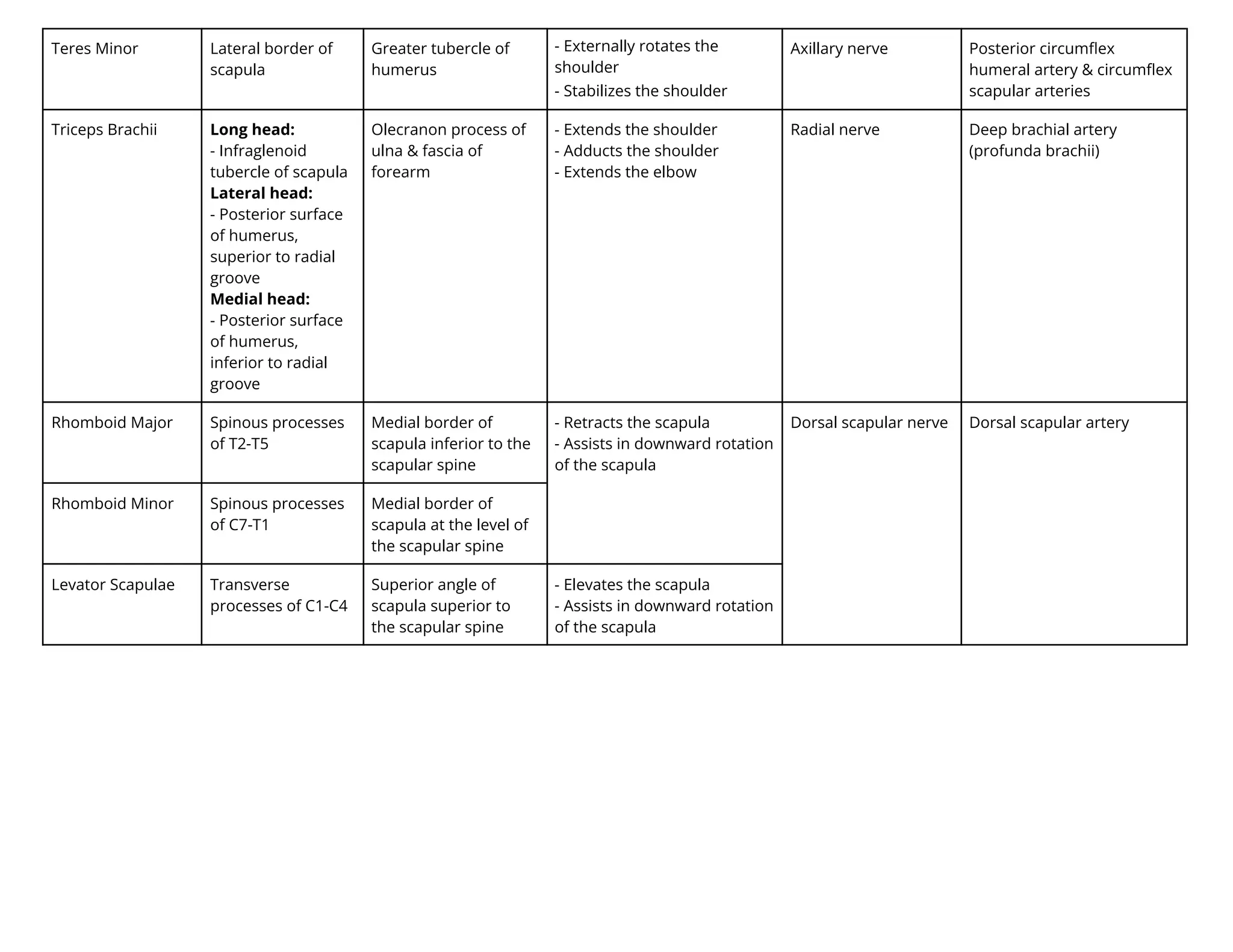 Teres Minor Lateral border of
scapula
Greater tubercle of
humerus
- ternally rotates the
shoulder
- Stabilizes the shoulder
Axillary nerve Posterior circumﬂex
humeral artery & circumﬂex
scapular arteries
Triceps Brachii Long head:
- Infraglenoid
tubercle of scapula
Lateral head:
- Posterior surface
of humerus,
superior to radial
groove
Medial head:
- Posterior surface
of humerus,
inferior to radial
groove
Olecranon process of
ulna & fascia of
forearm
- Extends the shoulder
- Adducts the shoulder
- Extends the elbow
Radial nerve Deep brachial artery
(profunda brachii)
Rhomboid Major Spinous processes
of T2-T5
Medial border of
scapula inferior to the
scapular spine
- Retracts the scapula
- Assists in downward rotation
of the scapula
Dorsal scapular nerve Dorsal scapular artery
Rhomboid Minor Spinous processes
of C7-T1
Medial border of
scapula at the level of
the scapular spine
Levator Scapulae Transverse
processes of C1-C4
Superior angle of
scapula superior to
the scapular spine
- Elevates the scapula
- Assists in downward rotation
of the scapula
 