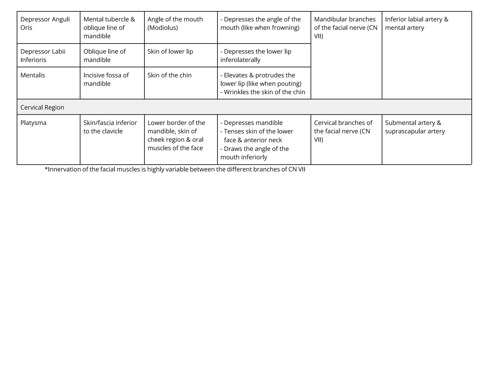Depressor Anguli
Oris
Mental tubercle &
oblique line of
mandible
Angle of the mouth
(Modiolus)
- Depresses the angle of the
mouth (like when frowning)
Mandibular branches
of the facial nerve (CN
VII)
Inferior labial artery &
mental artery
Depressor Labii
Inferioris
Oblique line of
mandible
Skin of lower lip - Depresses the lower lip
inferolaterally
Mentalis Incisive fossa of
mandible
Skin of the chin - Elevates & protrudes the
lower lip (like when pouting)
- Wrinkles the skin of the chin
Cervical Region
Platysma Skin/fascia inferior
to the clavicle
Lower border of the
mandible, skin of
cheek region & oral
muscles of the face
- Depresses mandible
- Tenses skin of the lower
face & anterior neck
- Draws the angle of the
mouth inferiorly
Cervical branches of
the facial nerve (CN
VII)
Submental artery &
suprascapular artery
*Innervation of the facial muscles is highly variable between the diﬀerent branches of CN VII
 