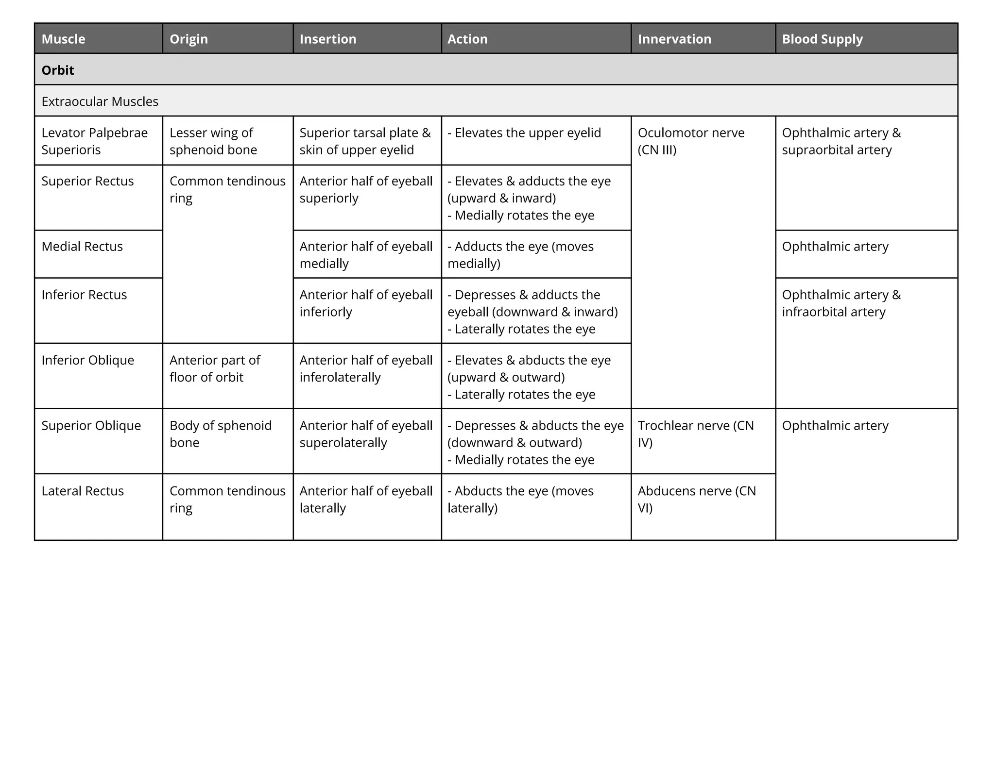 Muscle Origin Insertion Action Innervation Blood Supply
Orbit
Extraocular Muscles
Levator Palpebrae
Superioris
Lesser wing of
sphenoid bone
Superior tarsal plate &
skin of upper eyelid
- Elevates the upper eyelid Oculomotor nerve
(CN III)
Ophthalmic artery &
supraorbital artery
Superior Rectus Common tendinous
ring
Anterior half of eyeball
superiorly
- Elevates & adducts the eye
(upward & inward)
- Medially rotates the eye
Medial Rectus Anterior half of eyeball
medially
- Adducts the eye (moves
medially)
Ophthalmic artery
Inferior Rectus Anterior half of eyeball
inferiorly
- Depresses & adducts the
eyeball (downward & inward)
- Laterally rotates the eye
Ophthalmic artery &
infraorbital artery
Inferior Oblique Anterior part of
ﬂoor of orbit
Anterior half of eyeball
inferolaterally
- Elevates & abducts the eye
(upward & outward)
- Laterally rotates the eye
Superior Oblique Body of sphenoid
bone
Anterior half of eyeball
superolaterally
- Depresses & abducts the eye
(downward & outward)
- Medially rotates the eye
Trochlear nerve (CN
IV)
Ophthalmic artery
Lateral Rectus Common tendinous
ring
Anterior half of eyeball
laterally
- Abducts the eye (moves
laterally)
Abducens nerve (CN
VI)
 
