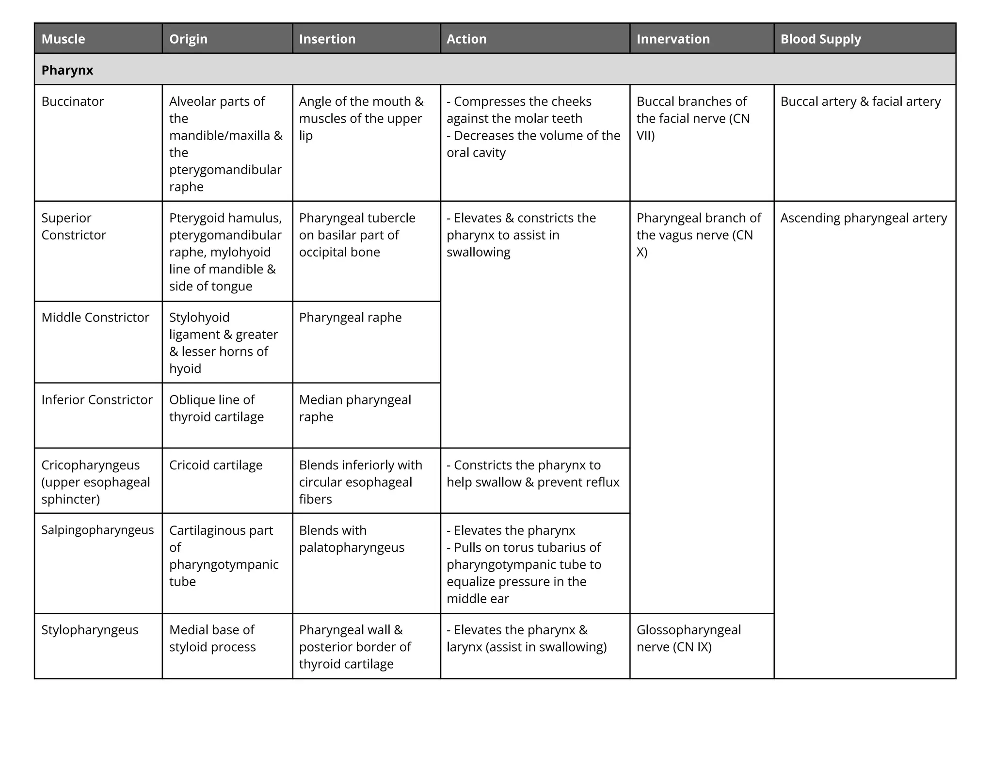 Muscle Origin Insertion Action Innervation Blood Supply
Pharynx
Buccinator Alveolar parts of
the
mandible/maxilla &
the
pterygomandibular
raphe
Angle of the mouth &
muscles of the upper
lip
- Compresses the cheeks
against the molar teeth
- Decreases the volume of the
oral cavity
Buccal branches of
the facial nerve (CN
VII)
Buccal artery & facial artery
Superior
Constrictor
Pterygoid hamulus,
pterygomandibular
raphe, mylohyoid
line of mandible &
side of tongue
Pharyngeal tubercle
on basilar part of
occipital bone
- Elevates & constricts the
pharynx to assist in
swallowing
Pharyngeal branch of
the vagus nerve (CN
X)
Ascending pharyngeal artery
Middle Constrictor Stylohyoid
ligament & greater
& lesser horns of
hyoid
Pharyngeal raphe
Inferior Constrictor Oblique line of
thyroid cartilage
Median pharyngeal
raphe
Cricopharyngeus
(upper esophageal
sphincter)
Cricoid cartilage Blends inferiorly with
circular esophageal
ﬁbers
- Constricts the pharynx to
help swallow & prevent reﬂux
Salpingopharyngeus Cartilaginous part
of
pharyngotympanic
tube
Blends with
palatopharyngeus
- Elevates the pharynx
- Pulls on torus tubarius of
pharyngotympanic tube to
equalize pressure in the
middle ear
Stylopharyngeus Medial base of
styloid process
Pharyngeal wall &
posterior border of
thyroid cartilage
- Elevates the pharynx &
larynx (assist in swallowing)
Glossopharyngeal
nerve (CN IX)
 