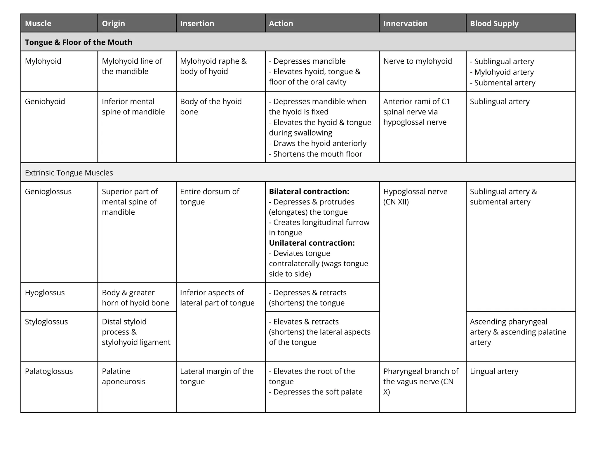 Muscle Origin Insertion Action Innervation Blood Supply
Tongue & Floor of the Mouth
Mylohyoid Mylohyoid line of
the mandible
Mylohyoid raphe &
body of hyoid
- Depresses mandible
- Elevates hyoid, tongue &
ﬂoor of the oral cavity
Nerve to mylohyoid - Sublingual artery
- Mylohyoid artery
- Submental artery
Geniohyoid Inferior mental
spine of mandible
Body of the hyoid
bone
- Depresses mandible when
the hyoid is ﬁxed
- Elevates the hyoid & tongue
during swallowing
- Draws the hyoid anteriorly
- Shortens the mouth ﬂoor
Anterior rami of C1
spinal nerve via
hypoglossal nerve
Sublingual artery
Extrinsic Tongue Muscles
Genioglossus Superior part of
mental spine of
mandible
Entire dorsum of
tongue
Bilateral contraction:
- Depresses & protrudes
(elongates) the tongue
- Creates longitudinal furrow
in tongue
Unilateral contraction:
- Deviates tongue
contralaterally (wags tongue
side to side)
Hypoglossal nerve
(CN XII)
Sublingual artery &
submental artery
Hyoglossus Body & greater
horn of hyoid bone
Inferior aspects of
lateral part of tongue
- Depresses & retracts
(shortens) the tongue
Styloglossus Distal styloid
process &
stylohyoid ligament
- Elevates & retracts
(shortens) the lateral aspects
of the tongue
Ascending pharyngeal
artery & ascending palatine
artery
Palatoglossus Palatine
aponeurosis
Lateral margin of the
tongue
- Elevates the root of the
tongue
- Depresses the soft palate
Pharyngeal branch of
the vagus nerve (CN
X)
Lingual artery
 
