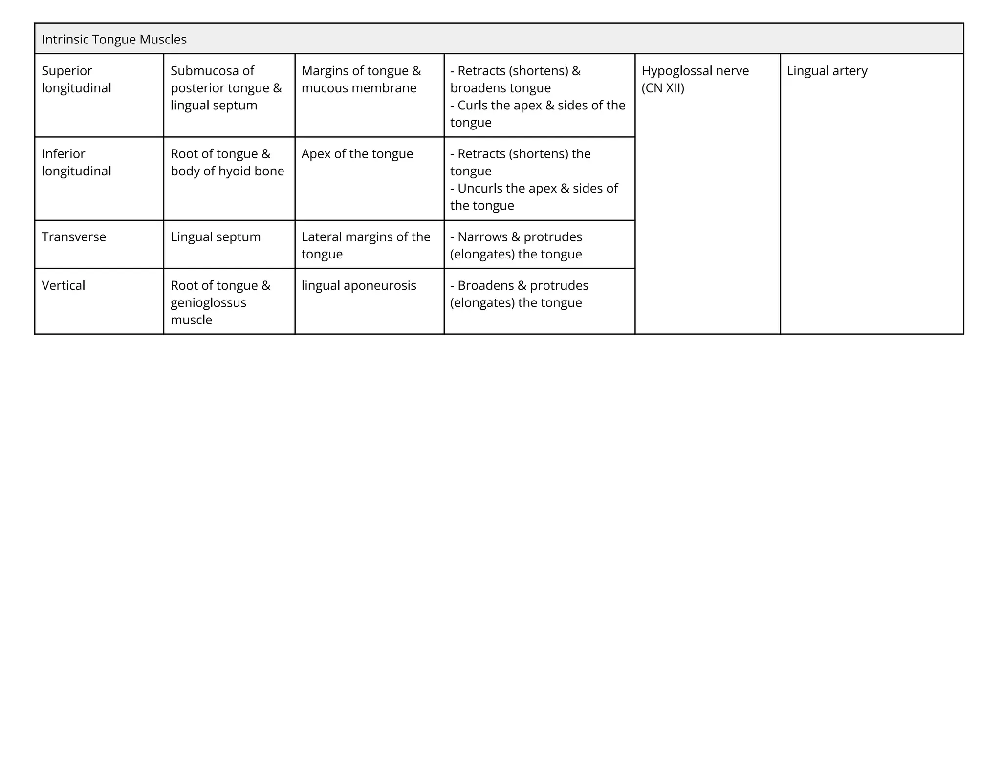Intrinsic Tongue Muscles
Superior
longitudinal
Submucosa of
posterior tongue &
lingual septum
Margins of tongue &
mucous membrane
- Retracts (shortens) &
broadens tongue
- Curls the apex & sides of the
tongue
Hypoglossal nerve
(CN XII)
Lingual artery
Inferior
longitudinal
Root of tongue &
body of hyoid bone
Apex of the tongue - Retracts (shortens) the
tongue
- Uncurls the apex & sides of
the tongue
Transverse Lingual septum Lateral margins of the
tongue
- Narrows & protrudes
(elongates) the tongue
Vertical Root of tongue &
genioglossus
muscle
lingual aponeurosis - Broadens & protrudes
(elongates) the tongue
 