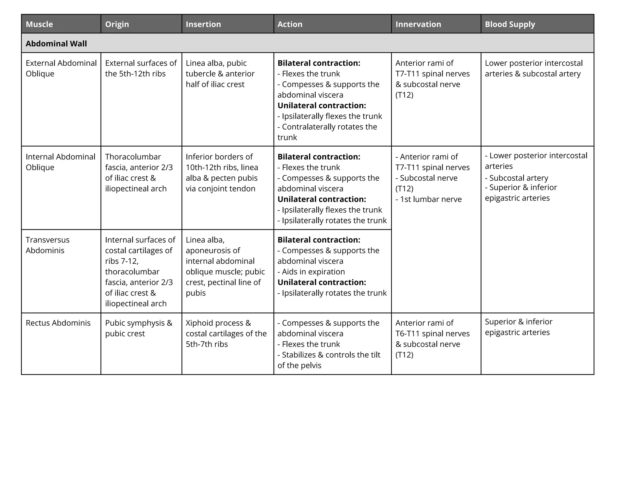 Muscle Origin Insertion Action Innervation Blood Supply
Abdominal Wall
External Abdominal
Oblique
External surfaces of
the 5th-12th ribs
Linea alba, pubic
tubercle & anterior
half of iliac crest
Bilateral contraction:
- Flexes the trunk
- Compesses & supports the
abdominal viscera
Unilateral contraction:
- Ipsilaterally ﬂexes the trunk
- Contralaterally rotates the
trunk
Anterior rami of
T7-T11 spinal nerves
& subcostal nerve
(T12)
Lower posterior intercostal
arteries & subcostal artery
Internal Abdominal
Oblique
Thoracolumbar
fascia, anterior 2/3
of iliac crest &
iliopectineal arch
Inferior borders of
10th-12th ribs, linea
alba & pecten pubis
via conjoint tendon
Bilateral contraction:
- Flexes the trunk
- Compesses & supports the
abdominal viscera
Unilateral contraction:
- Ipsilaterally ﬂexes the trunk
- Ipsilaterally rotates the trunk
- Anterior rami of
T7-T11 spinal nerves
- Subcostal nerve
(T12)
- 1st lumbar nerve
- Lower posterior intercostal
arteries
- Subcostal artery
- Superior & inferior
epigastric arteries
Transversus
Abdominis
Internal surfaces of
costal cartilages of
ribs 7-12,
thoracolumbar
fascia, anterior 2/3
of iliac crest &
iliopectineal arch
Linea alba,
aponeurosis of
internal abdominal
oblique muscle; pubic
crest, pectinal line of
pubis
Bilateral contraction:
- Compesses & supports the
abdominal viscera
- Aids in expiration
Unilateral contraction:
- Ipsilaterally rotates the trunk
Rectus Abdominis Pubic symphysis &
pubic crest
Xiphoid process &
costal cartilages of the
5th-7th ribs
- Compesses & supports the
abdominal viscera
- Flexes the trunk
- Stabilizes & controls the tilt
of the pelvis
Anterior rami of
T6-T11 spinal nerves
& subcostal nerve
(T12)
Superior & inferior
epigastric arteries
 