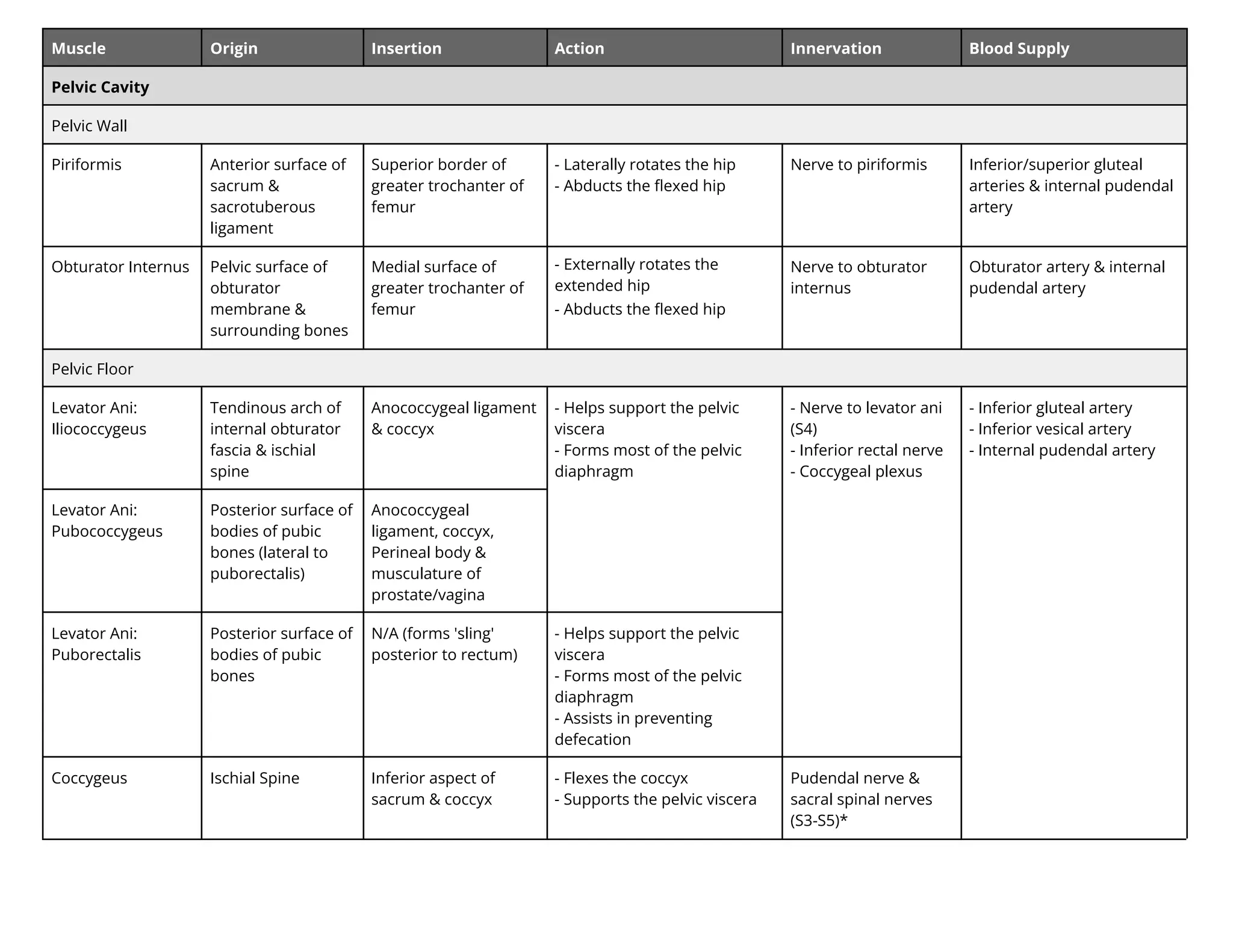 Muscle Origin Insertion Action Innervation Blood Supply
Pelvic Cavity
Pelvic Wall
Piriformis Anterior surface of
sacrum &
sacrotuberous
ligament
Superior border of
greater trochanter of
femur
- Laterally rotates the hip
- Abducts the ﬂexed hip
Nerve to piriformis Inferior/superior gluteal
arteries & internal pudendal
artery
Obturator Internus Pelvic surface of
obturator
membrane &
surrounding bones
Medial surface of
greater trochanter of
femur
- ternally rotates the
extended hip
- Abducts the ﬂexed hip
Nerve to obturator
internus
Obturator artery & internal
pudendal artery
Pelvic Floor
Levator Ani:
Iliococcygeus
Tendinous arch of
internal obturator
fascia & ischial
spine
Anococcygeal ligament
& coccyx
- Helps support the pelvic
viscera
- Forms most of the pelvic
diaphragm
- Nerve to levator ani
(S4)
- Inferior rectal nerve
- Coccygeal plexus
- Inferior gluteal artery
- Inferior vesical artery
- Internal pudendal artery
Levator Ani:
Pubococcygeus
Posterior surface of
bodies of pubic
bones (lateral to
puborectalis)
Anococcygeal
ligament, coccyx,
Perineal body &
musculature of
prostate/vagina
Levator Ani:
Puborectalis
Posterior surface of
bodies of pubic
bones
N/A (forms 'sling'
posterior to rectum)
- Helps support the pelvic
viscera
- Forms most of the pelvic
diaphragm
- Assists in preventing
defecation
Coccygeus Ischial Spine Inferior aspect of
sacrum & coccyx
- Flexes the coccyx
- Supports the pelvic viscera
Pudendal nerve &
sacral spinal nerves
(S3-S5)*
 