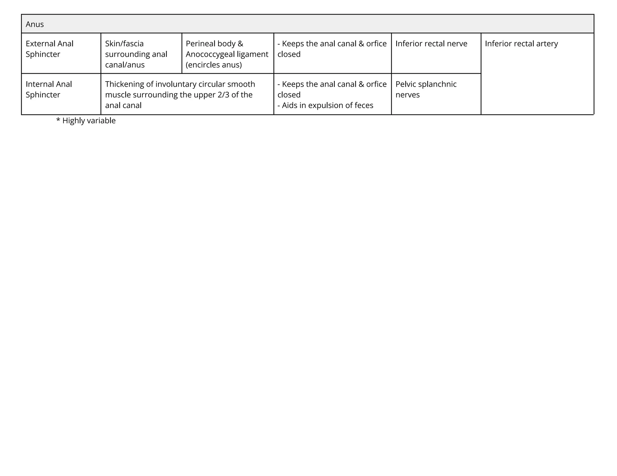 Anus
External Anal
Sphincter
Skin/fascia
surrounding anal
canal/anus
Perineal body &
Anococcygeal ligament
(encircles anus)
- Keeps the anal canal & orﬁce
closed
Inferior rectal nerve Inferior rectal artery
Internal Anal
Sphincter
Thickening of involuntary circular smooth
muscle surrounding the upper 2/3 of the
anal canal
- Keeps the anal canal & orﬁce
closed
- Aids in expulsion of feces
Pelvic splanchnic
nerves
* Highly variable
 