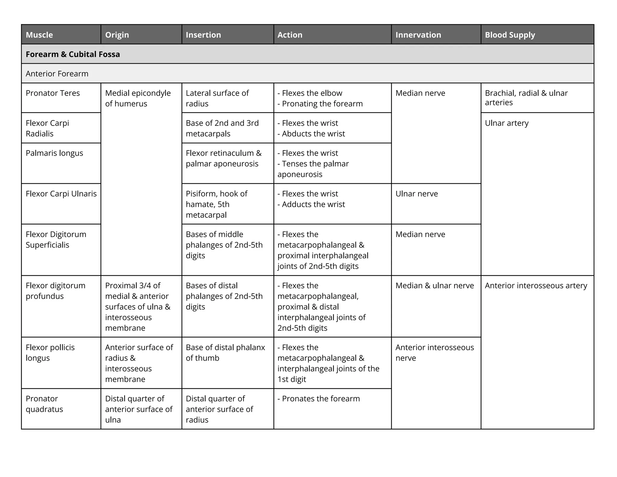 Muscle Origin Insertion Action Innervation Blood Supply
Forearm & Cubital Fossa
Anterior Forearm
Pronator Teres Medial epicondyle
of humerus
Lateral surface of
radius
- Flexes the elbow
- Pronating the forearm
Median nerve Brachial, radial & ulnar
arteries
Flexor Carpi
Radialis
Base of 2nd an r
metacarpal
- Flexes the wrist
- Abducts the wrist
Ulnar artery
Palmaris longus Flexor retinaculum &
palmar aponeurosis
- Flexes the wrist
- Tenses the palmar
aponeurosis
Flexor Carpi Ulnaris Pisiform, hook of
hamate, 5th
metacarpal
- Flexes the wrist
- Adducts the wrist
Ulnar nerve
Flexor Digitorum
Superﬁcialis
Bases of middle
phalanges of 2nd-5th
digits
- Flexes the
metacarpophalangeal &
proximal interphalangeal
joints of 2nd-5th digits
Median nerve
Flexor digitorum
profundus
Proximal 3/4 of
medial & anterior
surfaces of ulna &
interosseous
membrane
Bases of distal
phalanges of 2nd-5th
digits
- Flexes the
metacarpophalangeal,
proximal & distal
interphalangeal joints of
2nd-5th digits
Median & ulnar nerve Anterior interosseous artery
Flexor pollicis
longus
Anterior surface of
radius &
interosseous
membrane
Base of distal phalanx
of thumb
- Flexes the
metacarpophalangeal &
interphalangeal joints of the
1st digit
Anterior interosseous
nerve
Pronator
quadratus
Distal quarter of
anterior surface of
ulna
Distal quarter of
anterior surface of
radius
- Pronates the forearm
 
