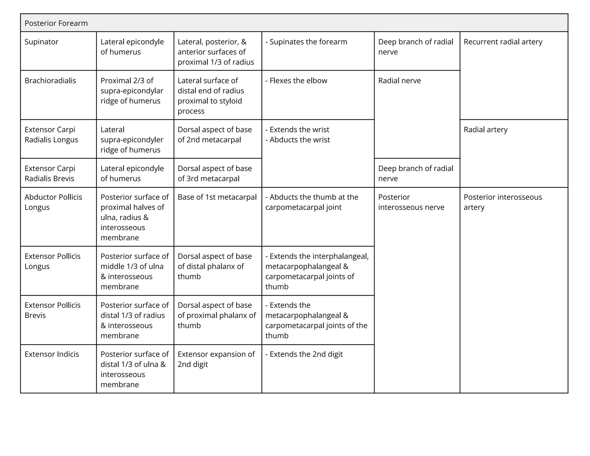 Posterior Forearm
Supinator Lateral epicondyle
of humerus
Lateral, posterior, &
anterior surfaces of
proximal 1/3 of radius
- Supinates the forearm Deep branch of radial
nerve
Recurrent radial artery
Brachioradialis Proximal 2/3 of
supra-epicondylar
ridge of humerus
Lateral surface of
distal end of radius
proximal to styloid
process
- Flexes the elbow Radial nerve
Extensor Carpi
Radialis Longus
Lateral
supra-epicondyler
ridge of humerus
Dorsal aspect of base
of 2nd metacarpal
- Extends the wrist
- Abducts the wrist
Radial artery
Extensor Carpi
Radialis Brevis
Lateral epicondyle
of humerus
Dorsal aspect of base
of 3rd metacarpal
Deep branch of radial
nerve
Abductor Pollicis
Longus
Posterior surface of
proximal halves of
ulna, radius &
interosseous
membrane
Base of 1st metacarpal - Abducts the thumb at the
carpometacarpal joint
Posterior
interosseous nerve
Posterior interosseous
artery
Extensor Pollicis
Longus
Posterior surface of
middle 1/3 of ulna
& interosseous
membrane
Dorsal aspect of base
of distal phalanx of
thumb
- Extends the interphalangeal,
metacarpophalangeal &
carpometacarpal joints of
thumb
Extensor Pollicis
Brevis
Posterior surface of
distal 1/3 of radius
& interosseous
membrane
Dorsal aspect of base
of proximal phalanx of
thumb
- Extends the
metacarpophalangeal &
carpometacarpal joints of the
thumb
Extensor Indicis Posterior surface of
distal 1/3 of ulna &
interosseous
membrane
Extensor expansion of
2nd digit
- Extends the 2nd digit
 
