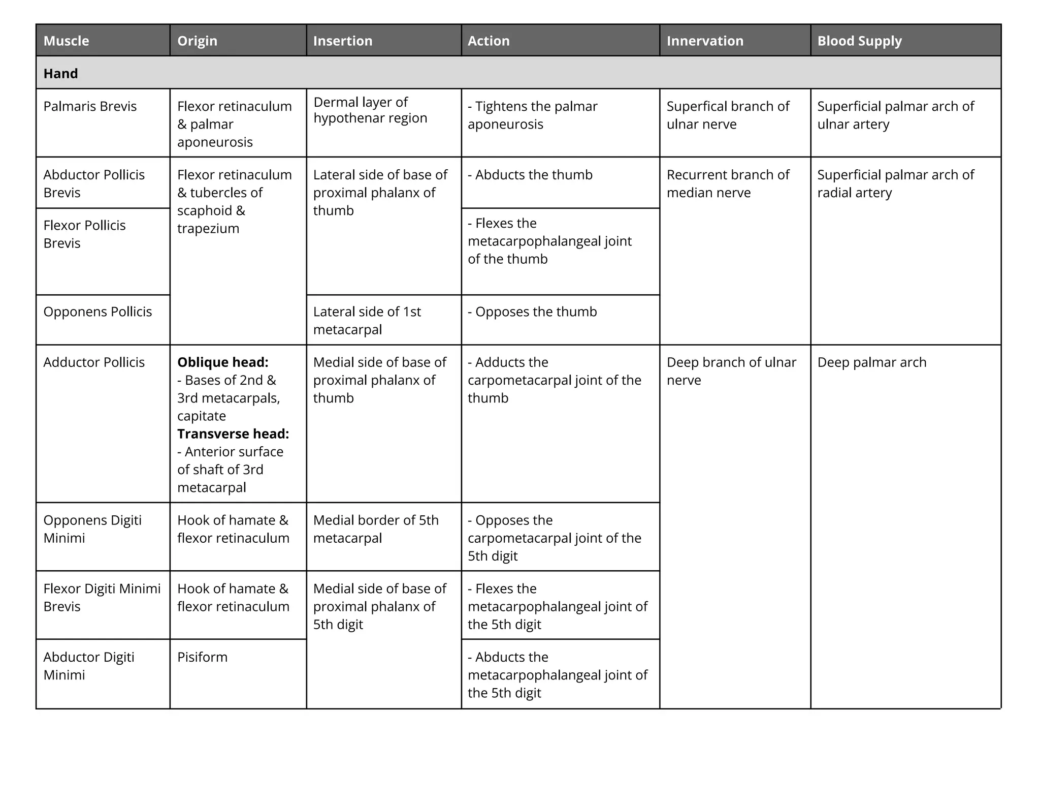 Muscle Origin Insertion Action Innervation Blood Supply
Hand
Palmaris Brevis Flexor retinaculum
& palmar
aponeurosis
er al layer
y t enar re i n
- Tightens the palmar
aponeurosis
Superﬁcal branch of
ulnar nerve
Superﬁcial palmar arch of
ulnar artery
Abductor Pollicis
Brevis
Flexor retinaculum
& tubercles of
scaphoid &
trapezium
Lateral side of base of
proximal phalanx of
thumb
- Abducts the thumb Recurrent branch of
median nerve
Superﬁcial palmar arch of
radial artery
Flexor Pollicis
Brevis
- Flexes the
metacarpophalangeal joint
of the thumb
Opponens Pollicis Lateral side of 1st
metacarpal
- Opposes the thumb
Adductor Pollicis Oblique head:
- Bases of 2nd &
3rd metacarpals,
capitate
Transverse head:
- Anterior surface
of shaft of 3rd
metacarpal
Medial side of base of
proximal phalanx of
thumb
- Adducts the
carpometacarpal joint of the
thumb
Deep branch of ulnar
nerve
Deep palmar arch
Opponens Digiti
Minimi
Hook of hamate &
ﬂexor retinaculum
Medial border of 5th
metacarpal
- Opposes the
carpometacarpal joint of the
5th digit
Flexor Digiti Minimi
Brevis
Hook of hamate &
ﬂexor retinaculum
Medial side of base of
proximal phalanx of
5th digit
- Flexes the
metacarpophalangeal joint of
the 5th digit
Abductor Digiti
Minimi
Pisiform - Abducts the
metacarpophalangeal joint of
the 5th digit
 