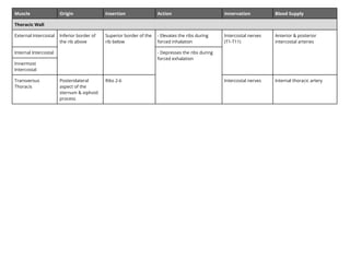 Bootcamp Muscle Tables.pdf with origin insertion and action | PDF