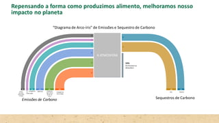 Sequestros de Carbono
Emissões de Carbono
“Diagrama de Arco-íris” de Emissões e Sequestro de Carbono
A ATMOSFERA
59%
Permanecena
Atmosfera
Transportes Indústrias Alimentos,
Agricultura
& Uso da
Terra
Produção de
Eletricidade
Construções
Outras
emissões
relacionadas
à energia
Solo Oceanos
Repensando a forma como produzimos alimento, melhoramos nosso
impacto no planeta
 