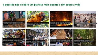 a questão não é sobre um planeta mais quente e sim sobre a vida
Para especialistas, tragédiaemPetrópolis é
a ‘ponta do iceberg’ das mudanças
climáticas
(17/02/2022)
Número de eventos extremos de incêndios
aumentará 14% até 2030 e 30% até 2050
(23/02/2022)
Preços dos alimentos disparam em 33%
no mundo. Mudanças climáticas são um
dos fatores que causama inflação
(02/10/2021)
Mudanças climáticas podem estarpor
trás da pandemia de Covid-19
(05/02/2021)
Crise climática global arrastou um milhão de
pessoas para a fome aguda em Madagáscar
(27/10/2021)
Mudanças climáticas ameaçam
comunidades extrativistas da Amazônia
(21/08/2021)
A crise climática é uma crise humanitária e de
saúde
(08/11/2021)
Aquecimento global de 1,5°C pode levaraté
14% das espécies à extinção
(03/03/2022)
 