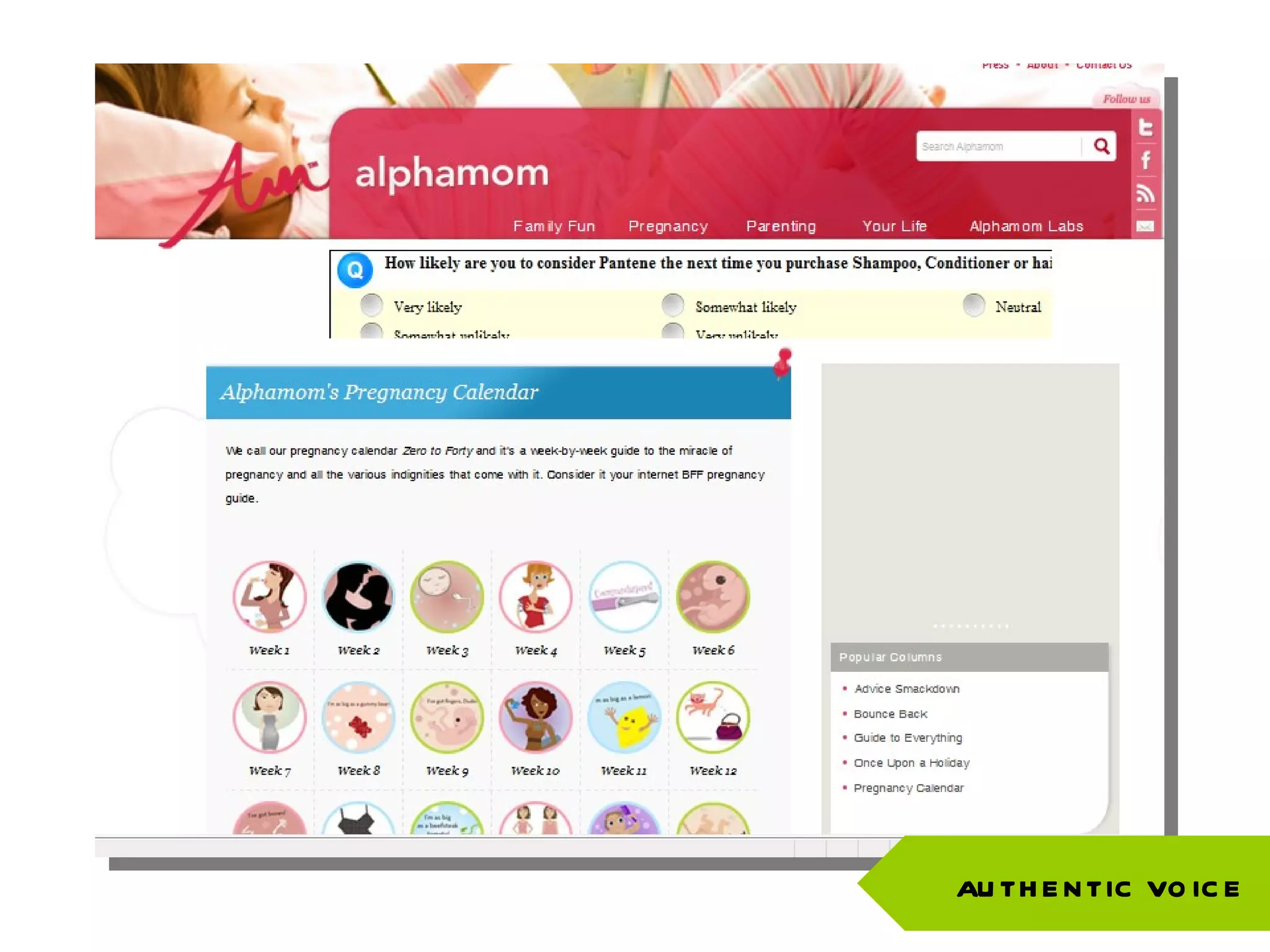 An Authentic Voice on Corporate Blog AUTHENTIC VOICE 