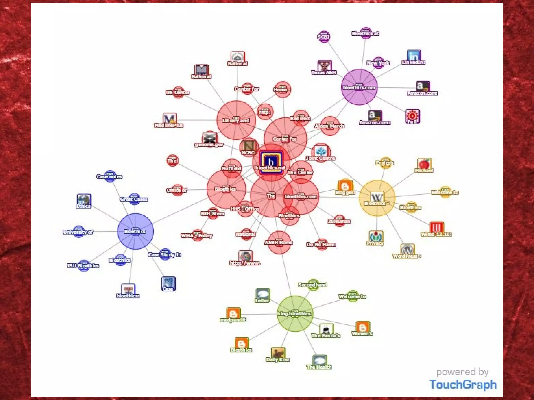 Touchgraph Web search for bioethics - enlarged 