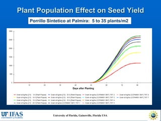 Virtual Crop Modeling for Genetic Improvement and Understanding G x E Interactions