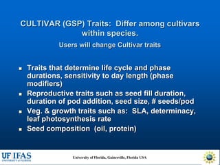 Virtual Crop Modeling for Genetic Improvement and Understanding G x E Interactions