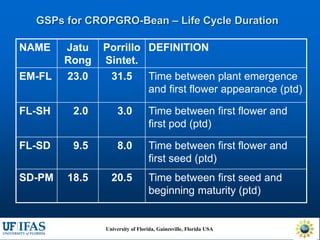 Virtual Crop Modeling for Genetic Improvement and Understanding G x E Interactions
