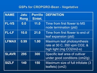 Virtual Crop Modeling for Genetic Improvement and Understanding G x E Interactions