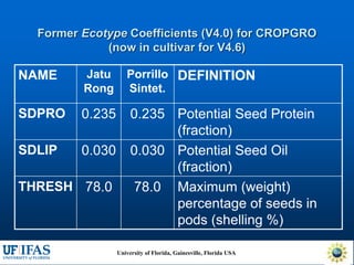 Virtual Crop Modeling for Genetic Improvement and Understanding G x E Interactions