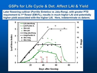 Virtual Crop Modeling for Genetic Improvement and Understanding G x E Interactions